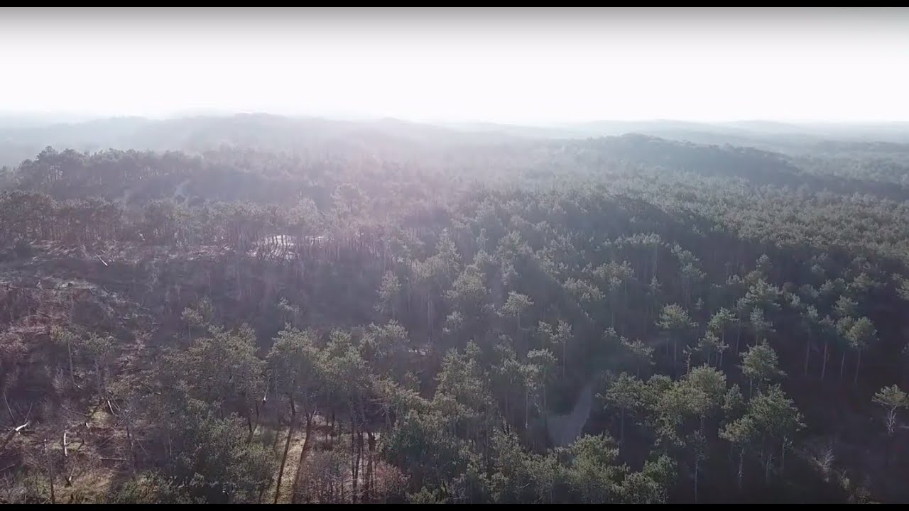 Dutch Dunes And Beach - Schoorlse Duinen The Netherlands