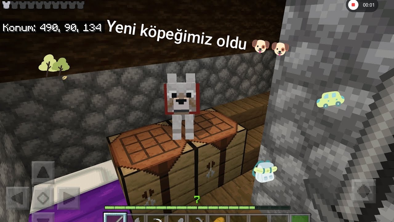Craft world part 3 yeni köpeğimiz oldu 🐶🐶🐶, evimizde yanında creeper patladı🏚️🏚️,tarla yaptım 🏞️🌌🪴🌱