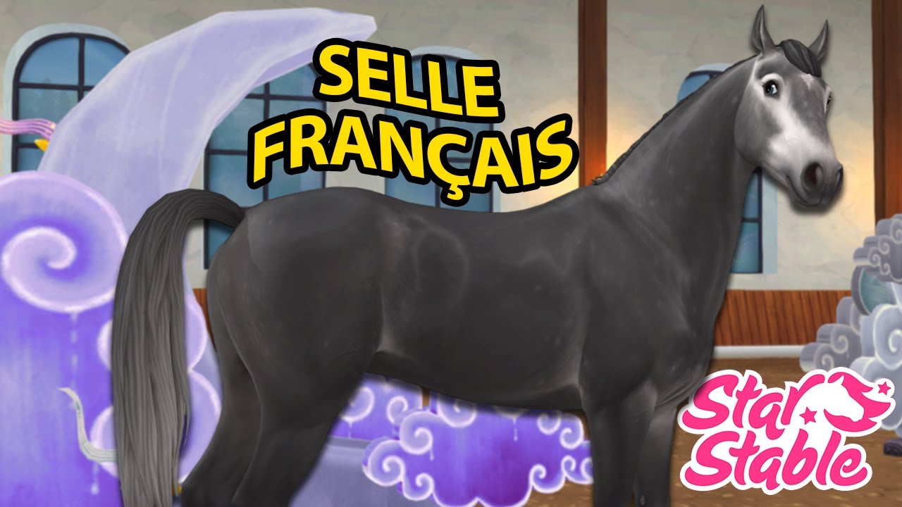 ACHAT DU SELLE FRANÇAIS 🥐 | Star Stable - SSO