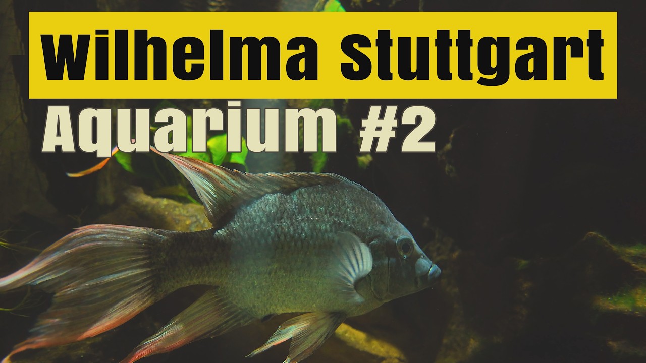 Stuttgart, Wilhelma #2/2026 | Heute: AQUARIUM WARMES SÜSSWASSER | ALLE Aquarien!