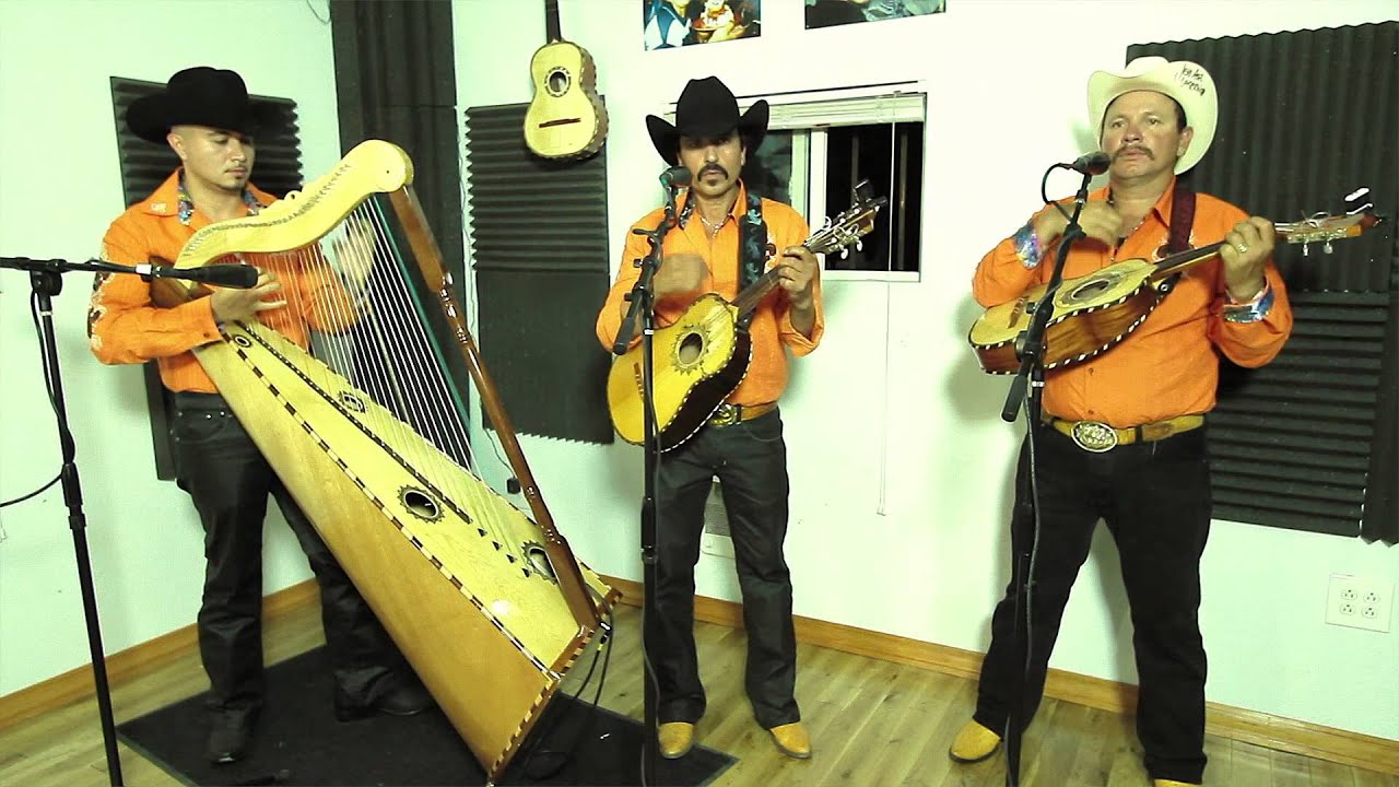 Conjunto de Arpa Grande (Quisiera Ser Pajarillo) Jilgueros Michoacános 2013