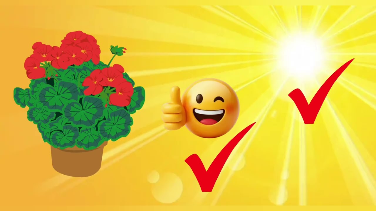 13 лютого 2026 р.