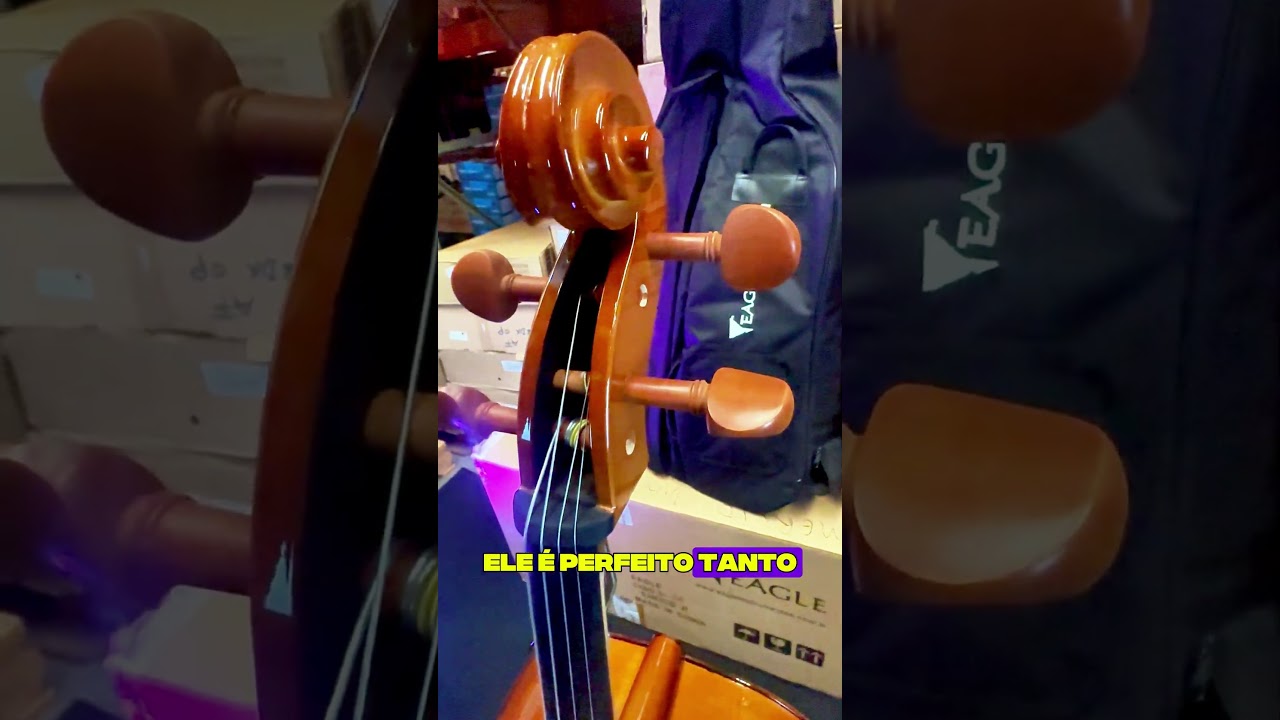 Violoncelo Eagle CE 200