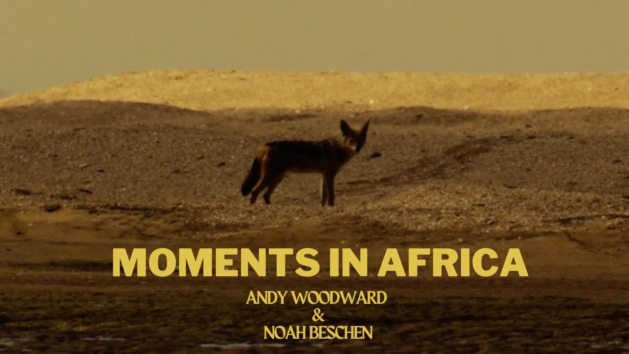 Moments in Africa a Surf Film