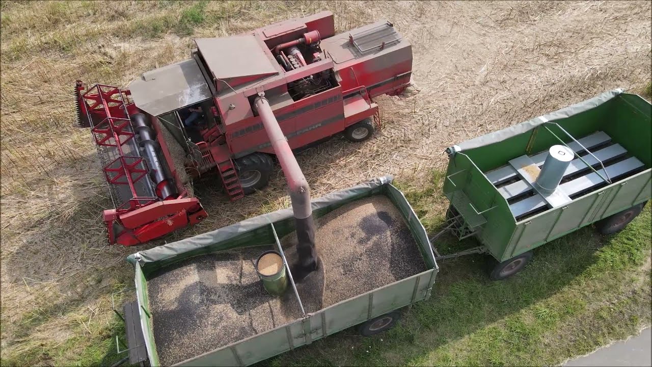 Raps Ernte mit den Deutz Fahr.