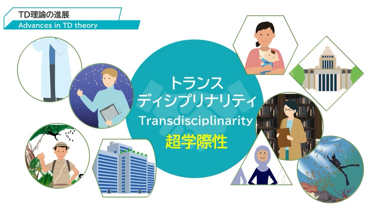 What is Transdisciplinarity?