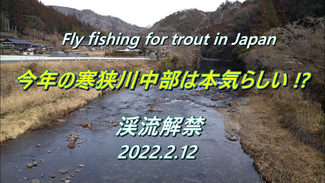 2022 渓流解禁 寒狭川中部漁協が本気らしい！？ 毛ばり釣りの楽園に潜入捜査だ～ ＼( 'ω')／ 【 フライフィッシング テンカラ 渓流釣り 】