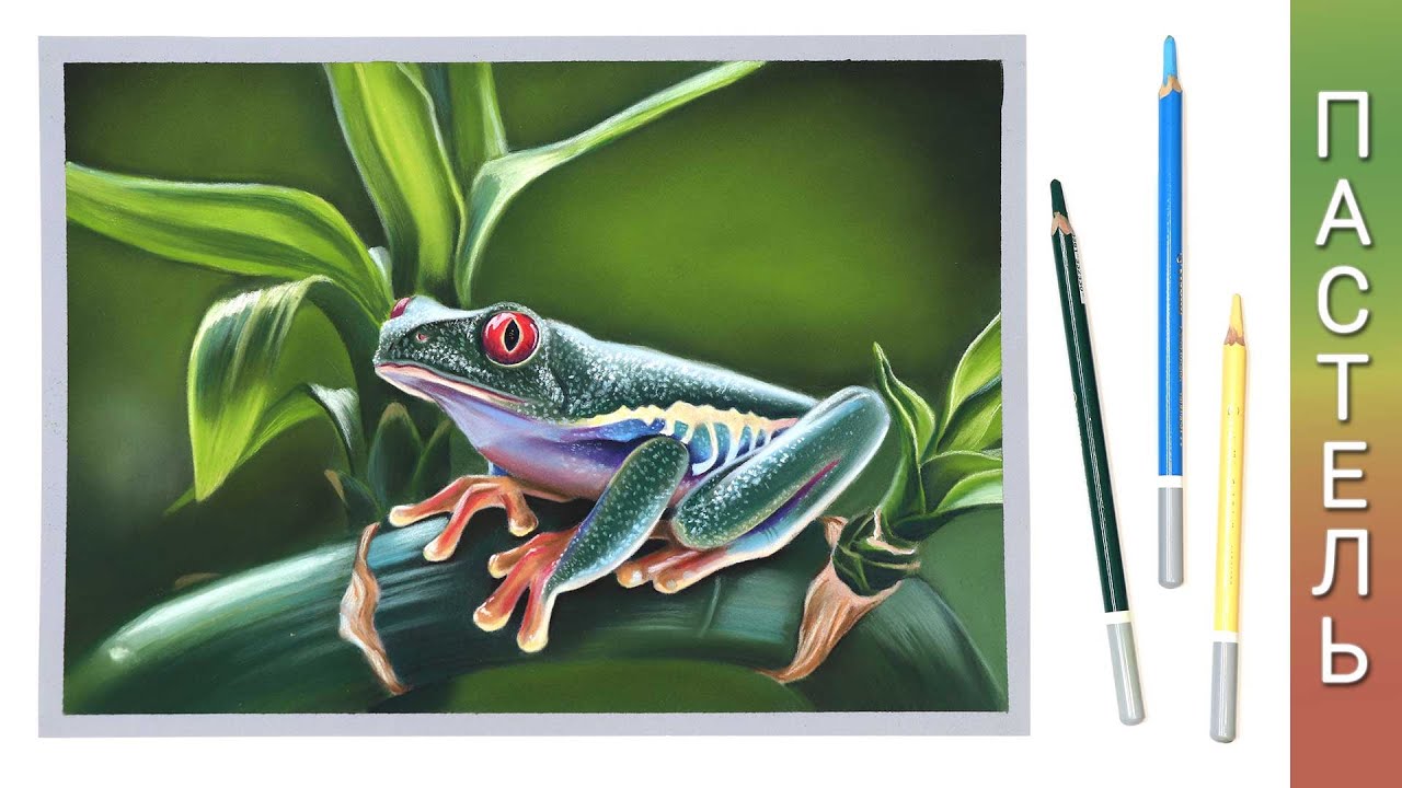 Как нарисовать тропическую лягушку пастелью 🐸 Урок рисования  Спидпейнт