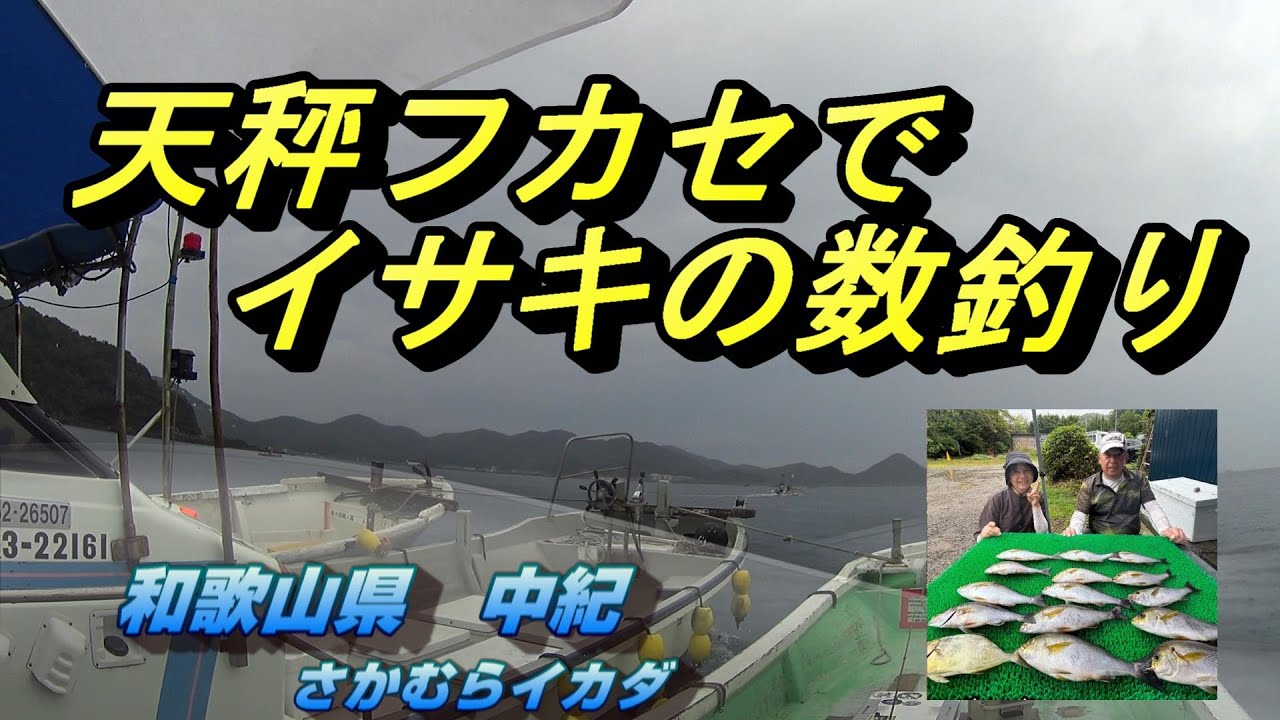 さかむらイカダ　天秤フカセでイサキの数釣り