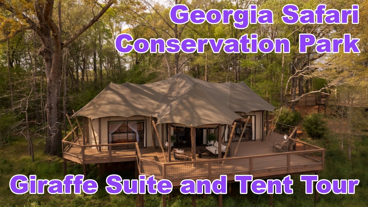 Экскурсия в люксе Giraffe Suite и сафари-палатке | Сафари-парк Джорджии