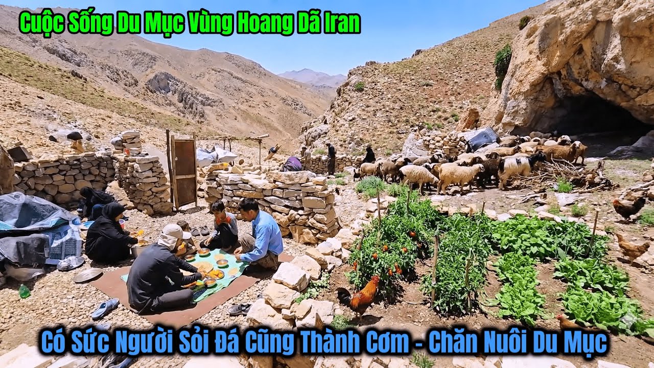 Cuộc Sống Du Mục Iran - Gia Đình Nade Sinh Tồn Trên Núi Cao Zagos