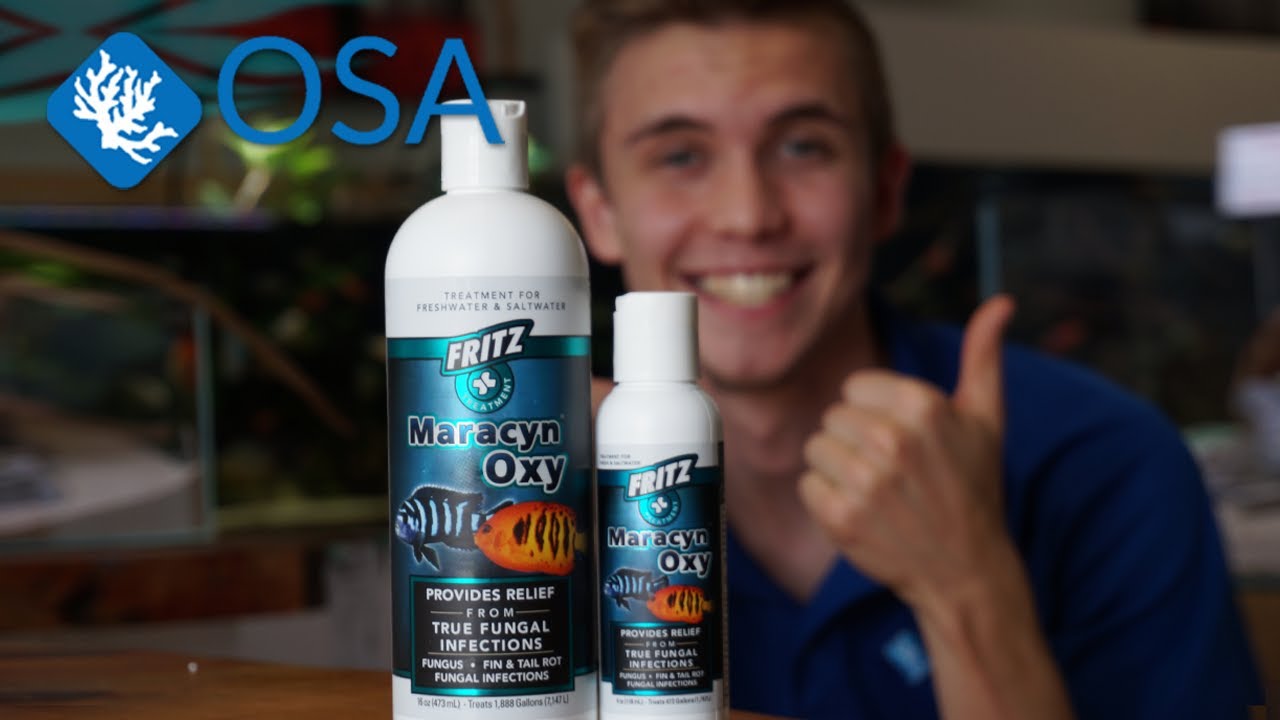 The Magic of Maracyn Oxy with Freshwater Joe
