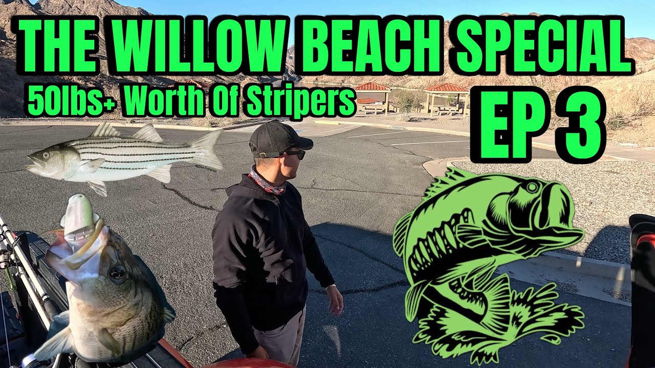 WILLOW BEACH EP. 3 | 50+ LBS of STRIPERS in ONE DAY!