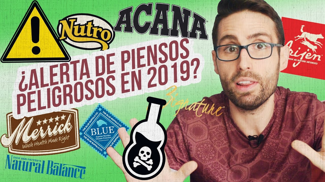 ¿Marcas de pienso que están provocando enfermedades?