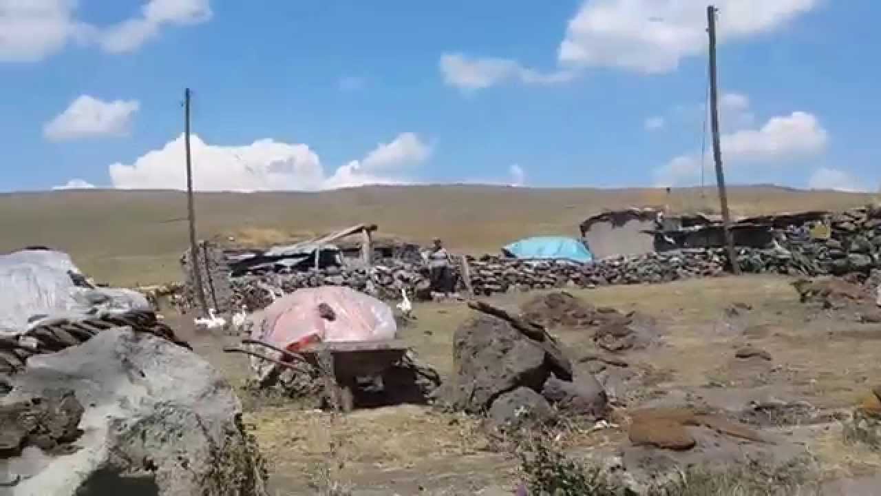 KARS - SUSUZ İLÇESİ YAYLASI