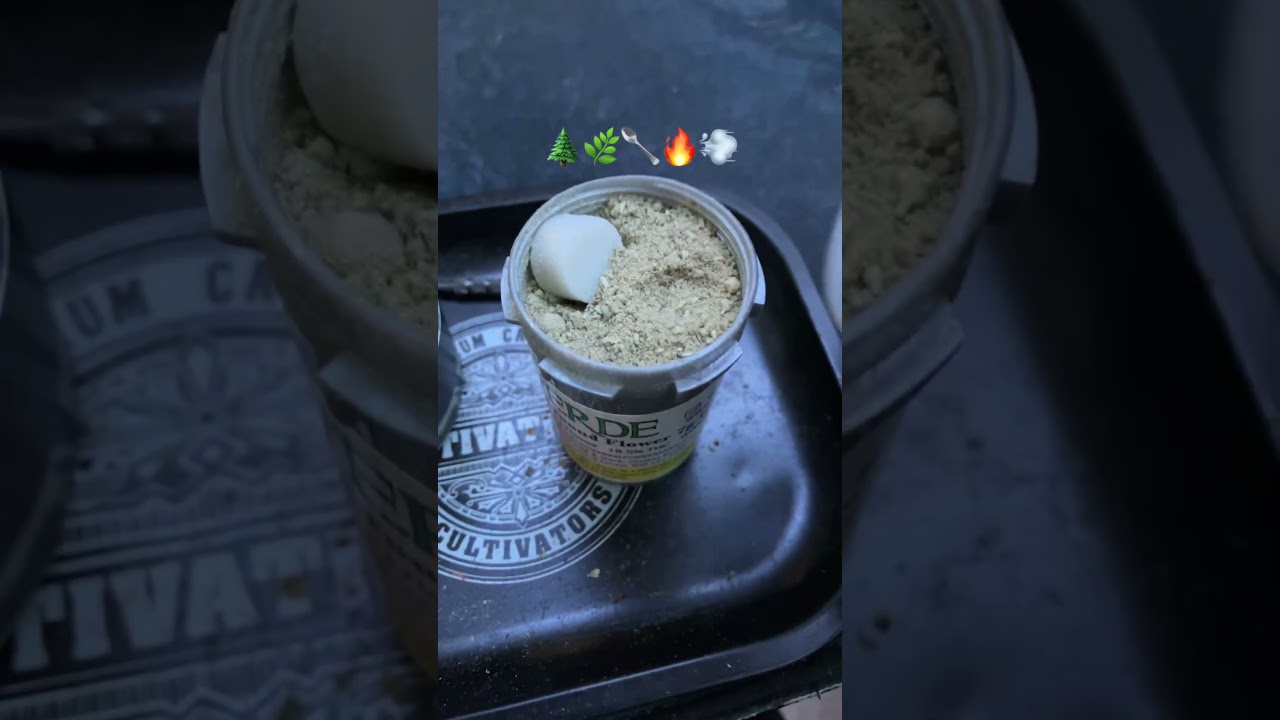 Ground flower with mini scooper #420 #smoke #maryjane #fyp #shorts #ytshorts