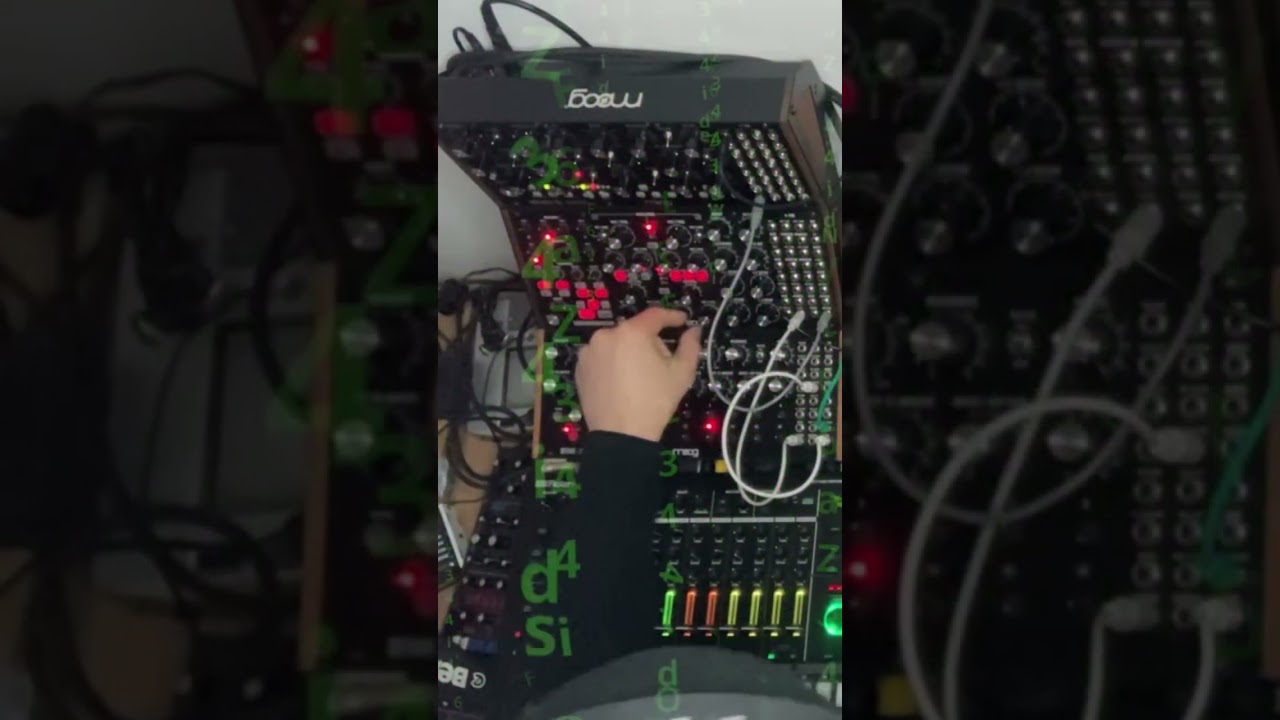 I recreated The Matrix on a Moog mother32, Subharmonicon and DFAM! 🤯 #synth #electronicmusic #moog