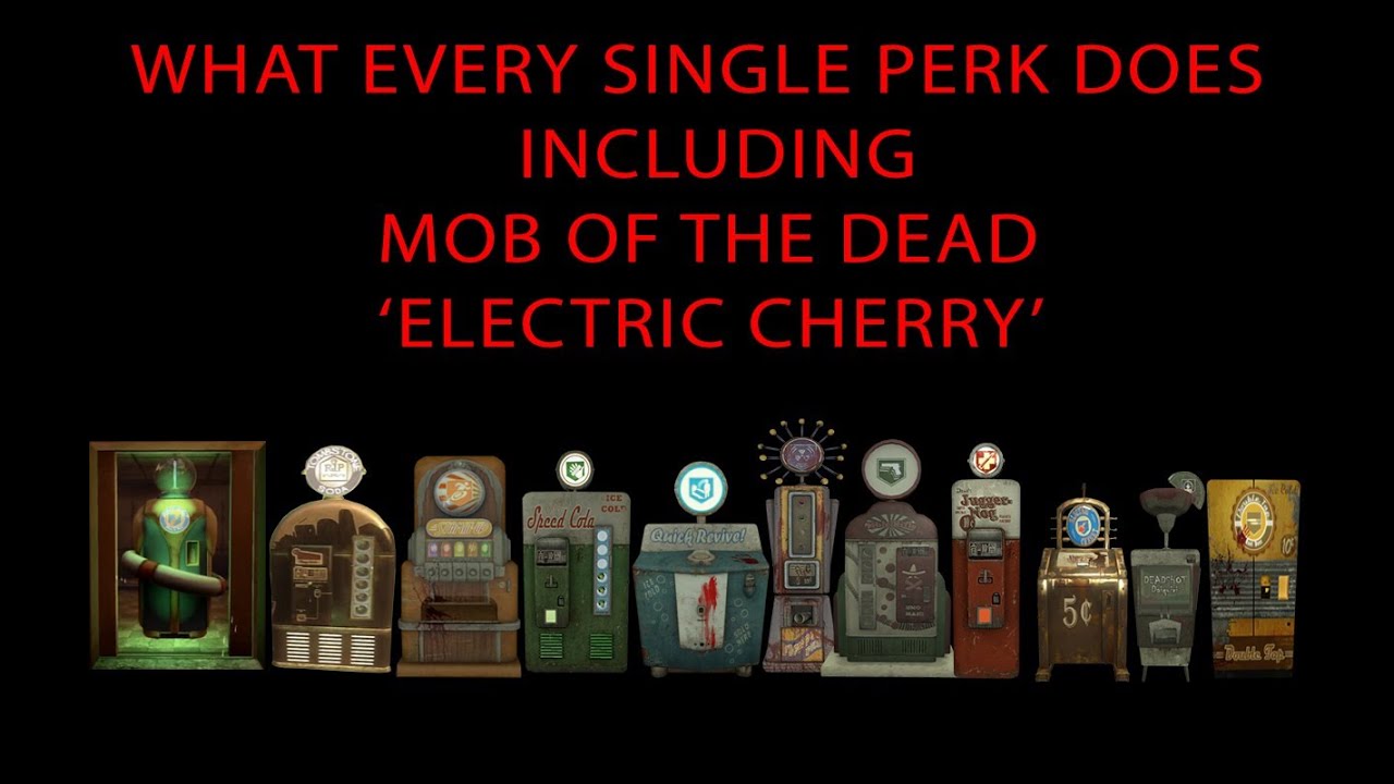 What Every Perk Does in Black Ops 2 Zombies!