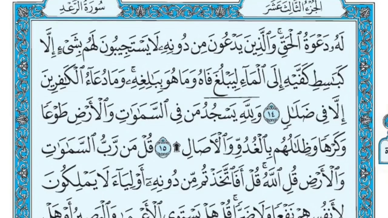سورة الرعد من الاية 14 الى الاية 28 بصوت هزاع البلوش