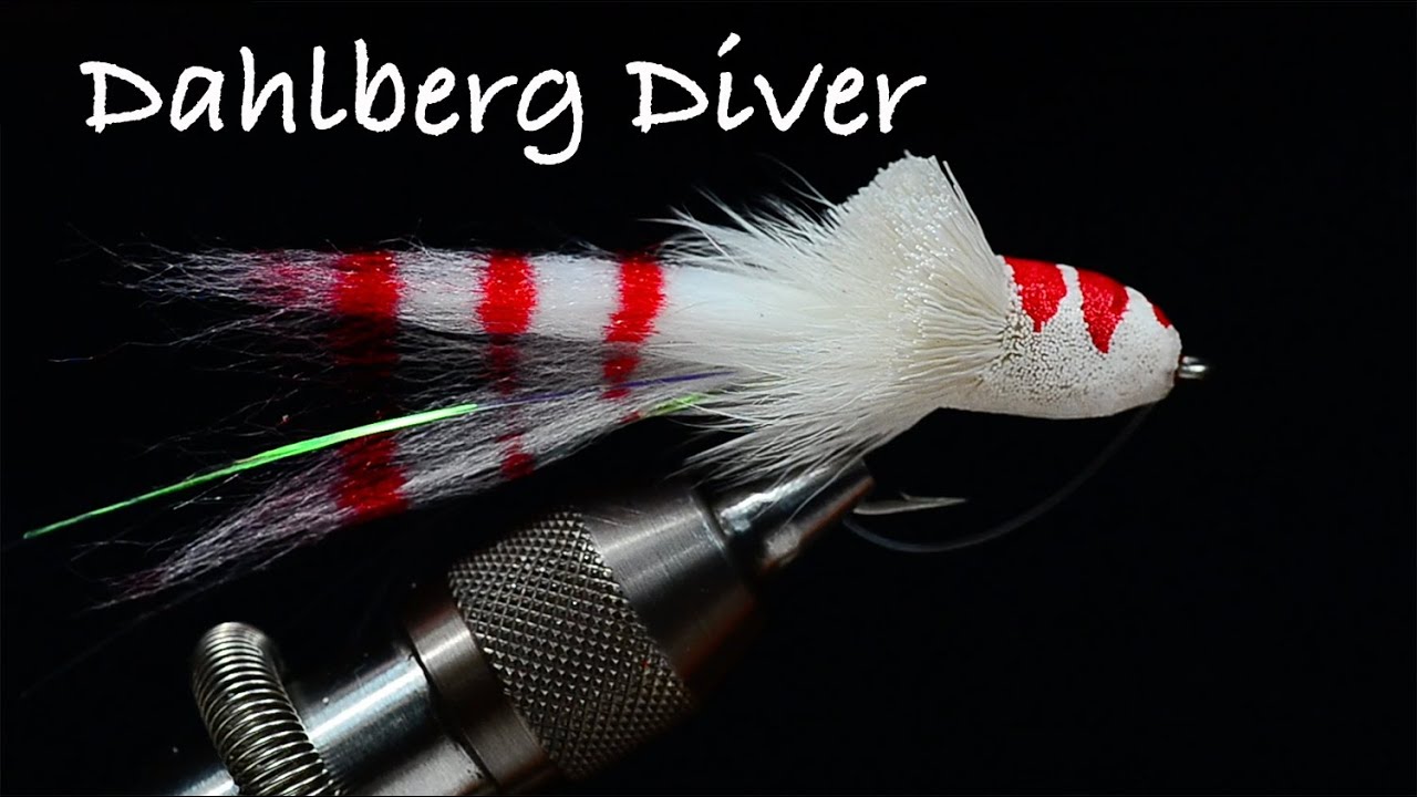 Dahlberg Diver Fly Tying Instructions by Charlie Craven