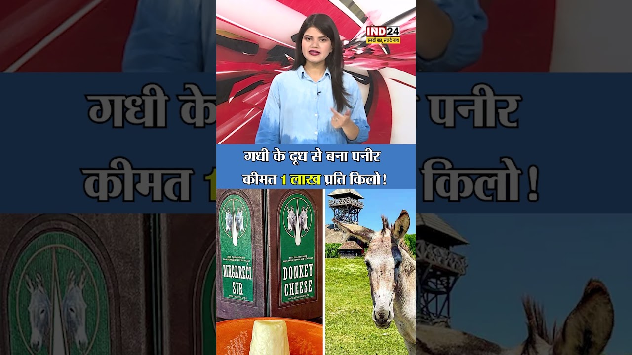 गधी के दूध से बना पनीर, कीमत 1 लाख प्रति किलो! | IND24TV |