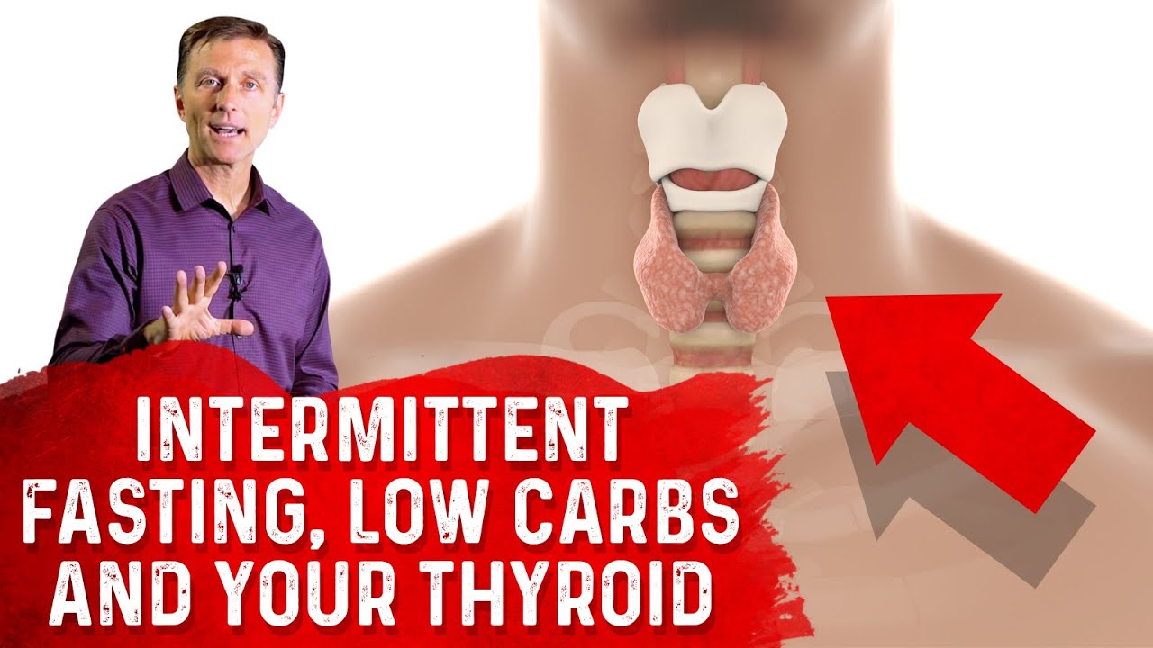 Intermittent Fasting, Low Carbs & Your Thyroid &ndash; Dr. Berg