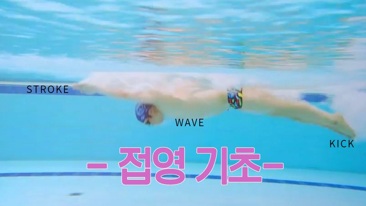 수영하자 접영고수의 접영기초편 접영킥,접영풀타이밍