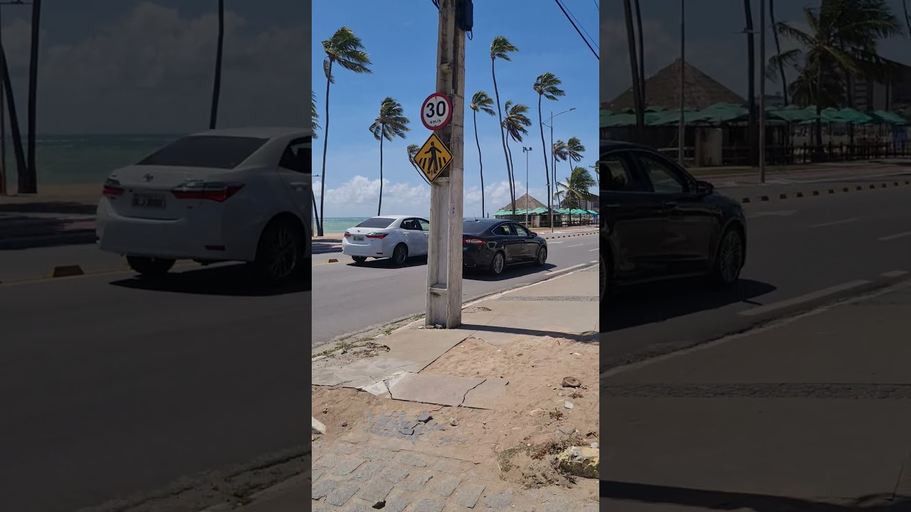 11 de novembro de 2025