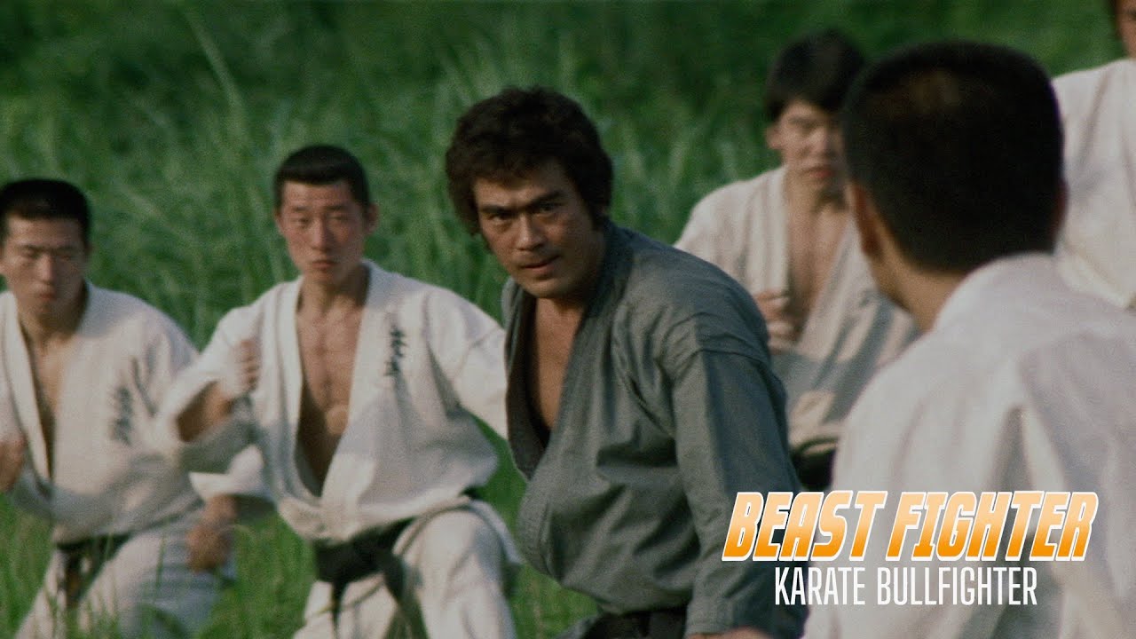 KARATE BULL FIGHTER 