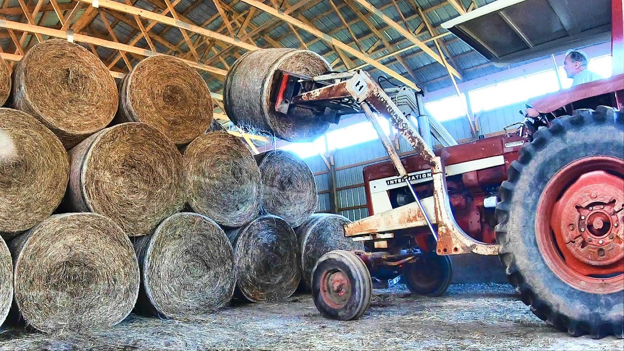 GOT HAY?