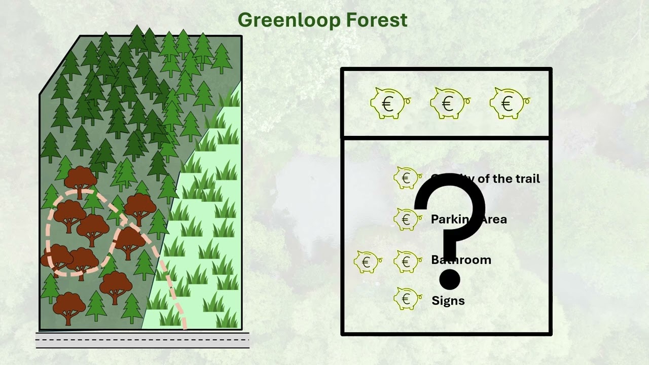 Decision Support Tool for Irish Forestry - ForES Project