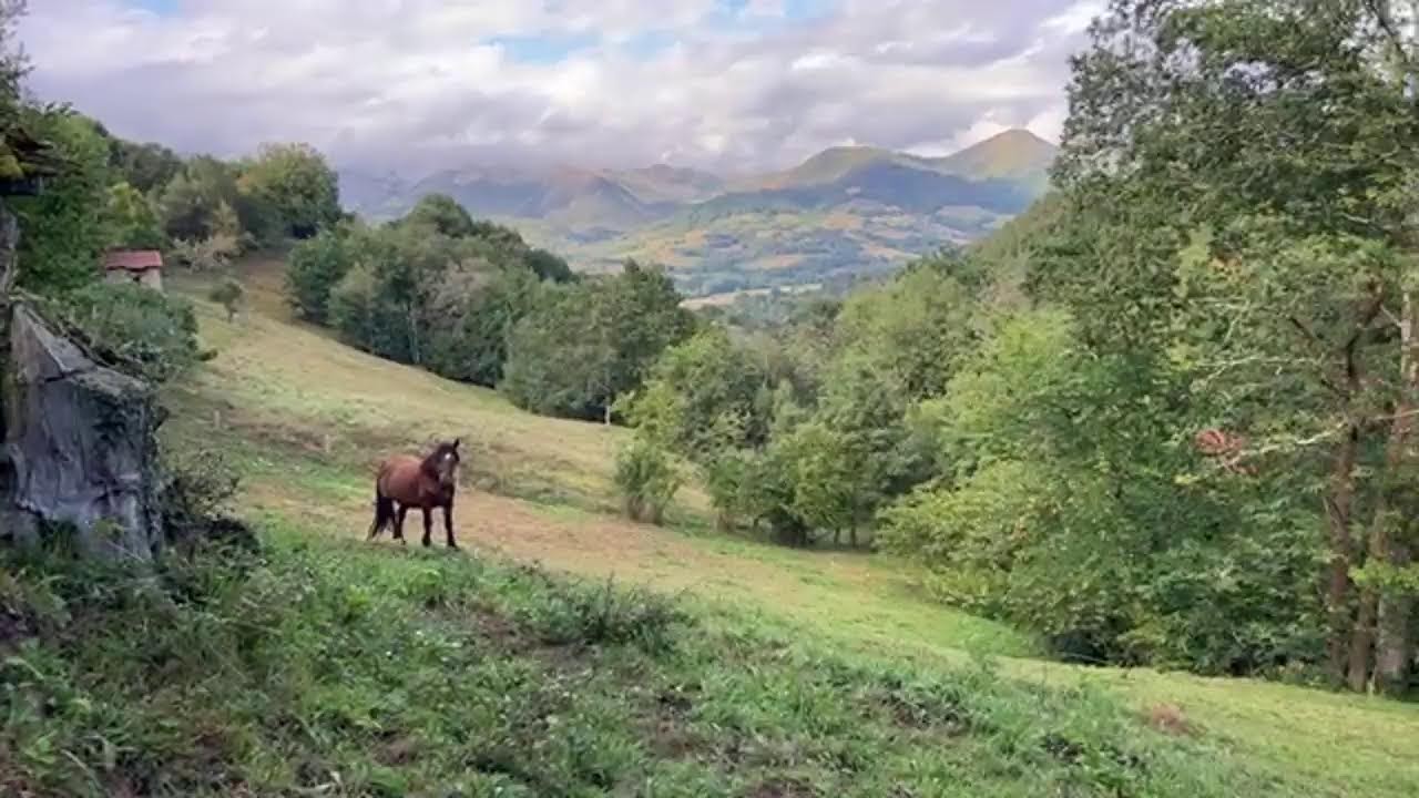 Venta cabaña barata en Asturias
