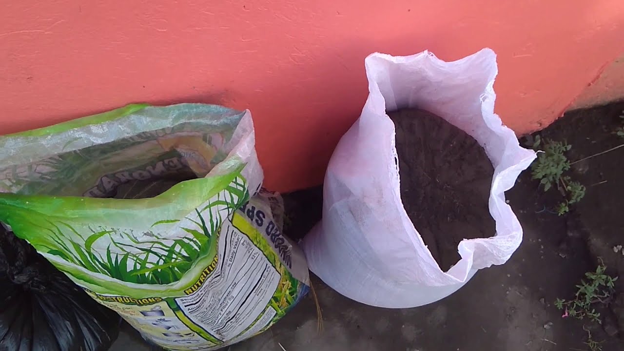 TAAL ERUPTION MORNING AFTER, JAN  13, 2020