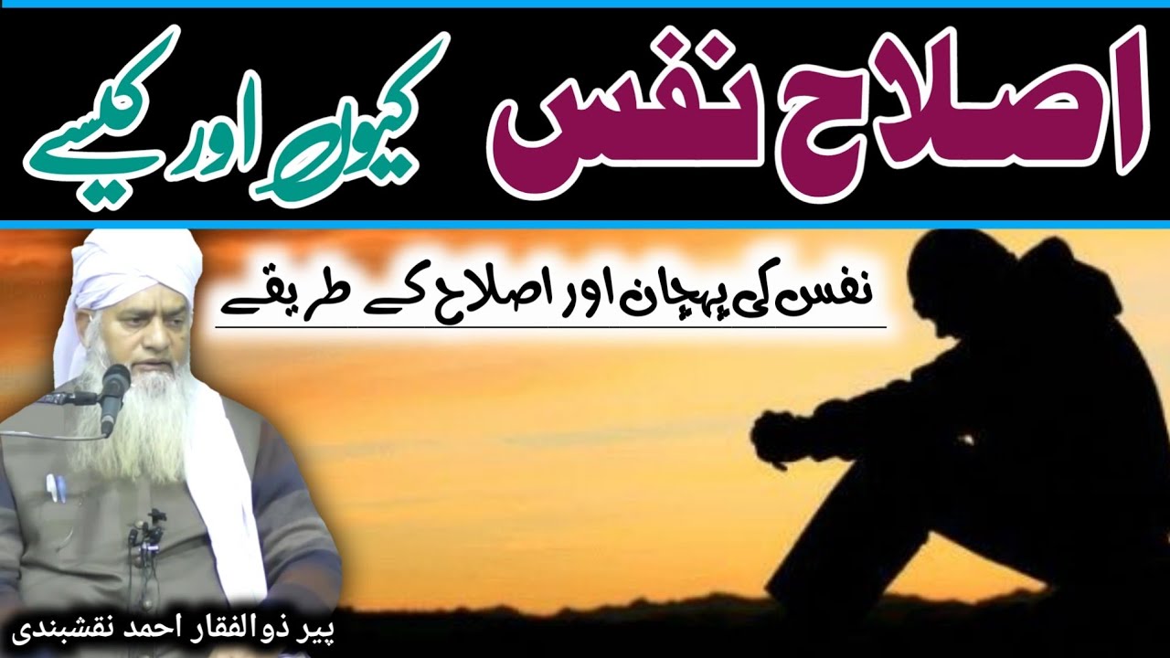 Islah e Nafs ● اصلاح نفس ● Nafs Ki Islah ● نفس کی اصلاح کیسے کریں ● Peer Zulfiqar Ahmed Naqshbandi