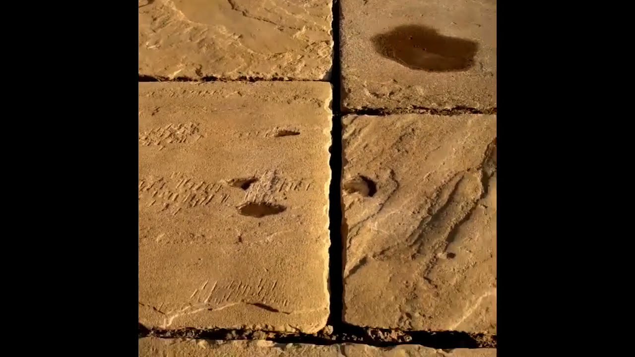 How To Clean Your Patios And Block Paving Without The Hastle  Of A Pressure Washer 👍👍👍