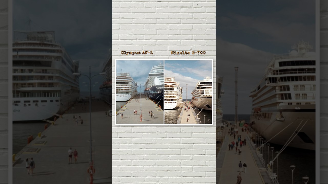 Olympus AF-1 vs Minolta X-700 🚢 | Film Photography Comparison | SURPRISING RESULTS!