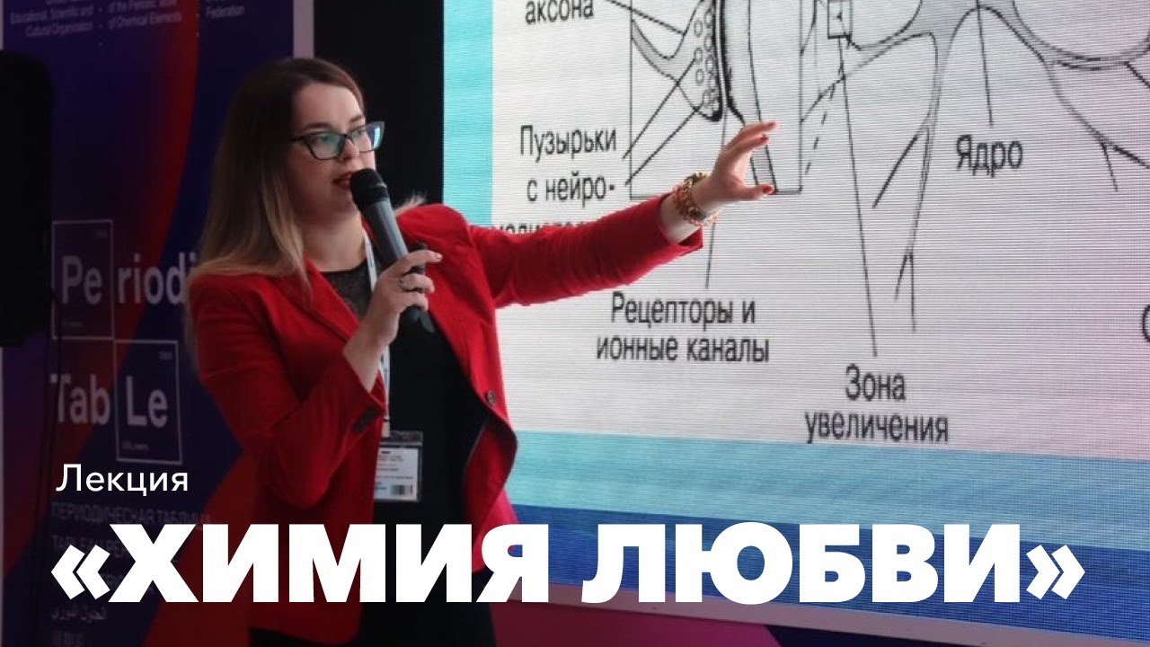 Лекция 