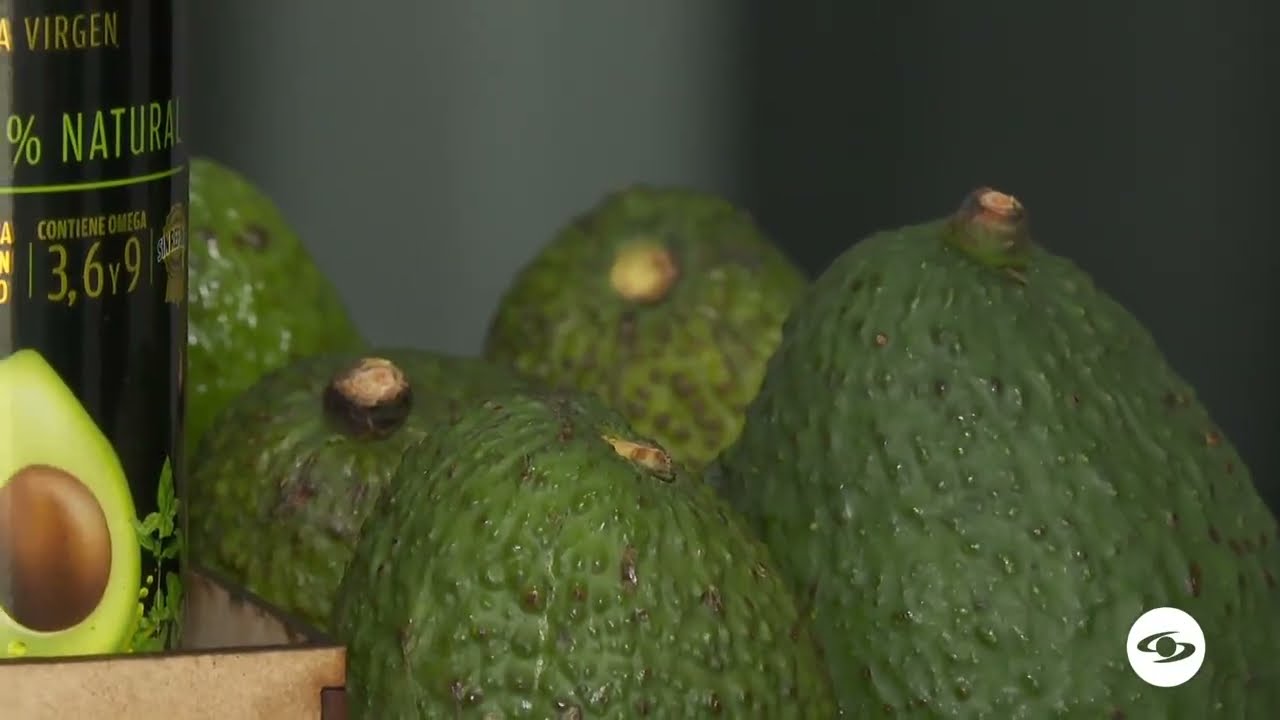 Mercado internacional del aceite de aguacate hass - La Finca de Hoy