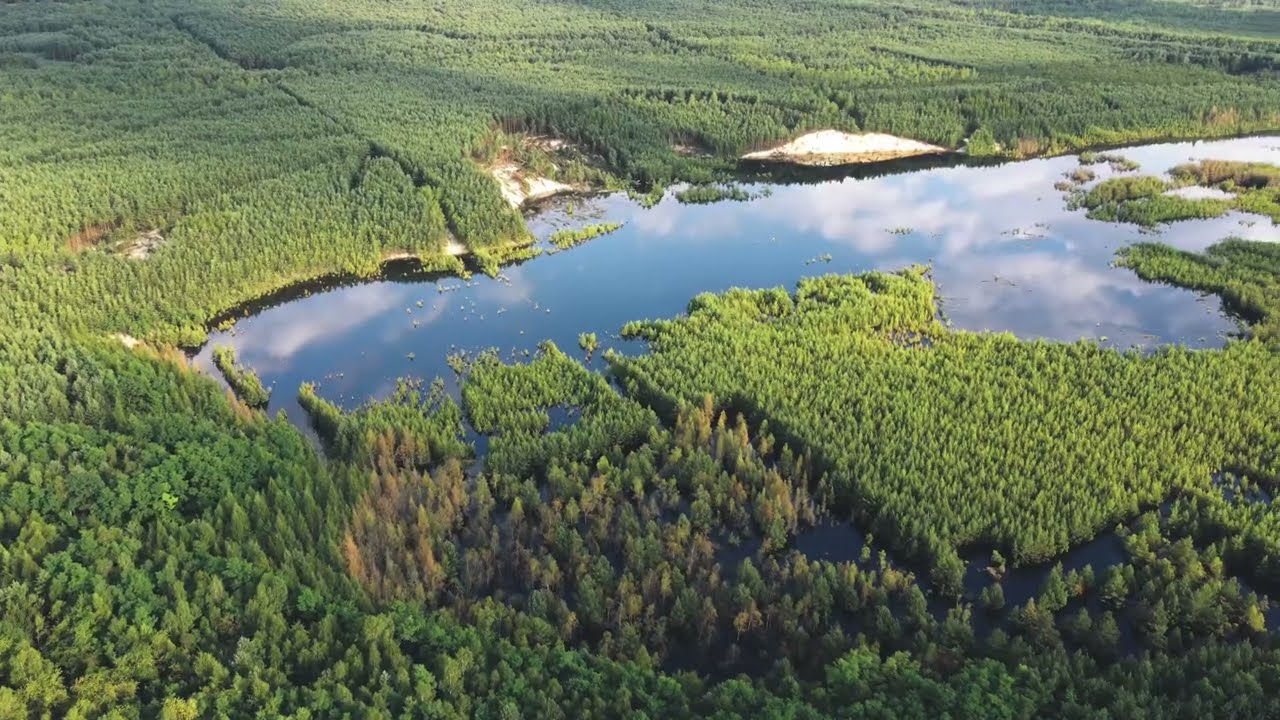 Hutki - Kompleks jeziorek w zalesionym wyrobisku