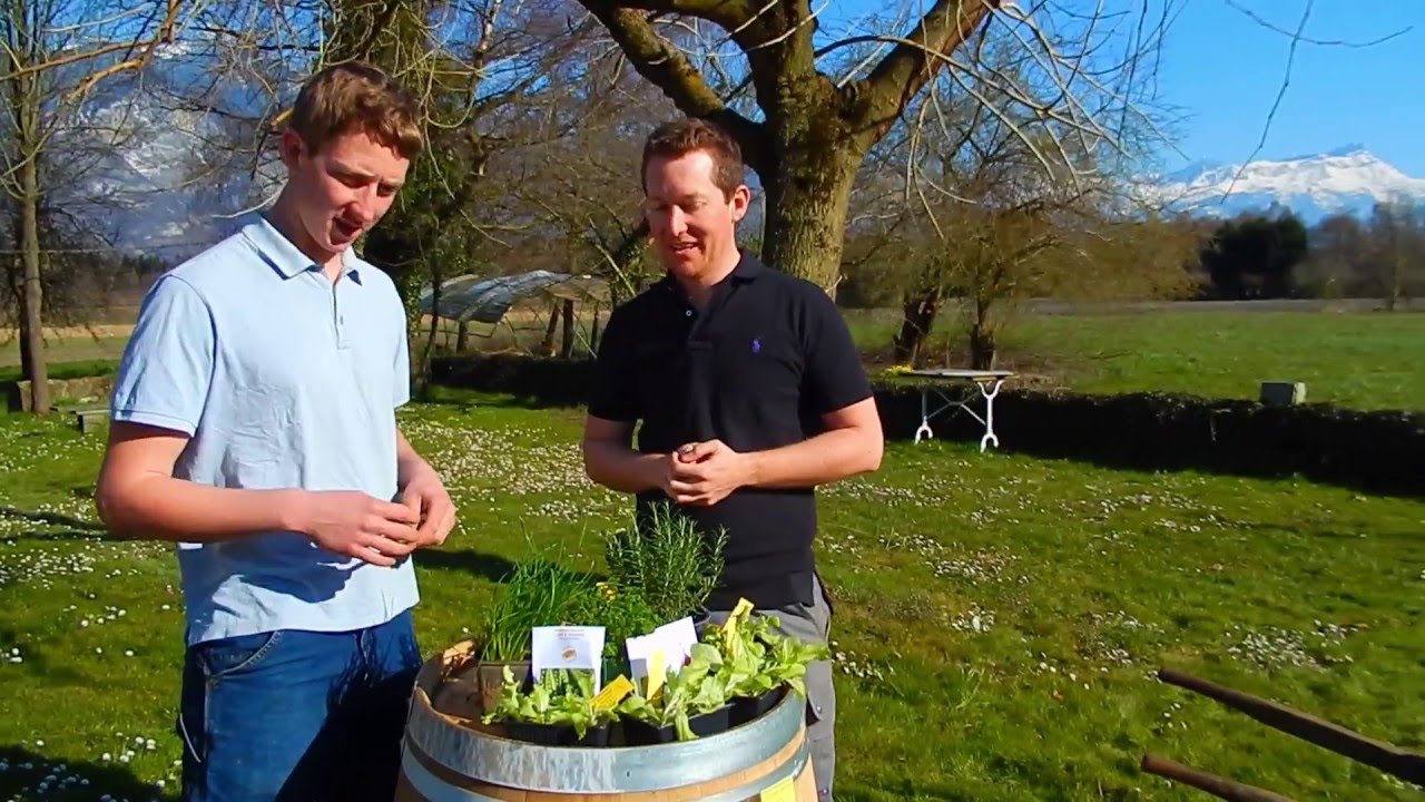 Garten umstechen und Saatbeete vorbereiten