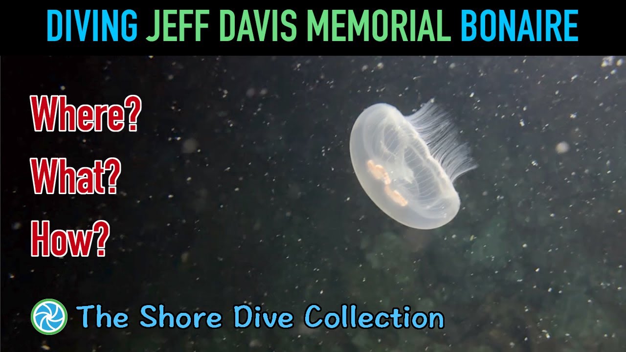 Diving Jeff Davis Memorial Bonaire | The Shore Dive Collection | TropicLens - 4K