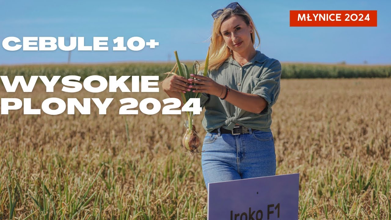 Cebule 10+ i wysokie plony 2024