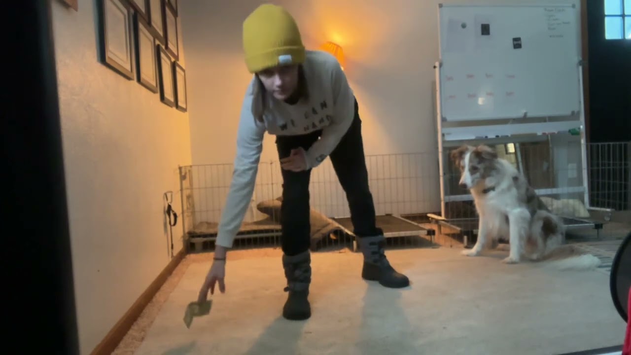 Advanced trick title submission