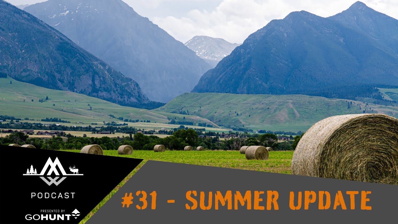 #31 - Summer Update & Answering Your Questions