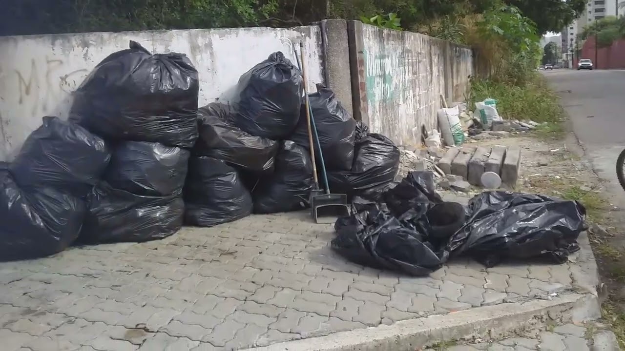 Pedro Paulo Ramos da silva reciclando com vc organização total