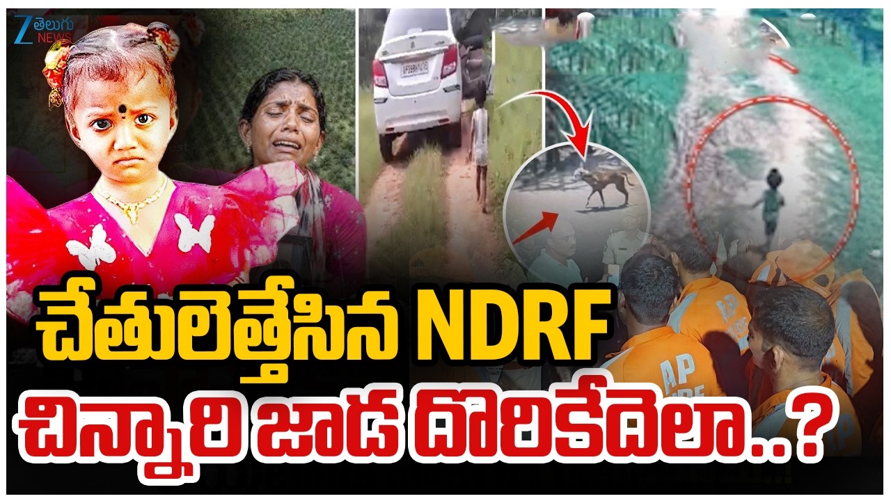 Kakinada 3 Years Girl Missing Case | Tuni Gnaneswari Latest Updates | చేతులెత్తేసిన NDRF | ZEE News