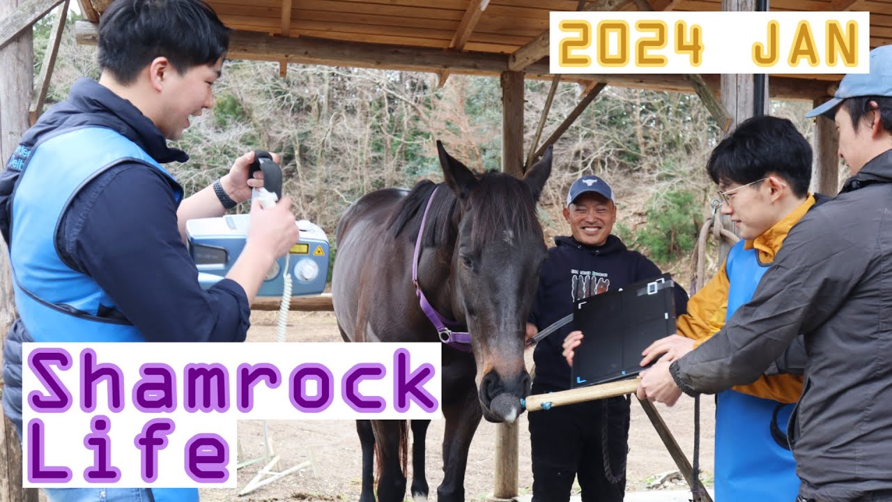 未来は明るい/1月のVlog