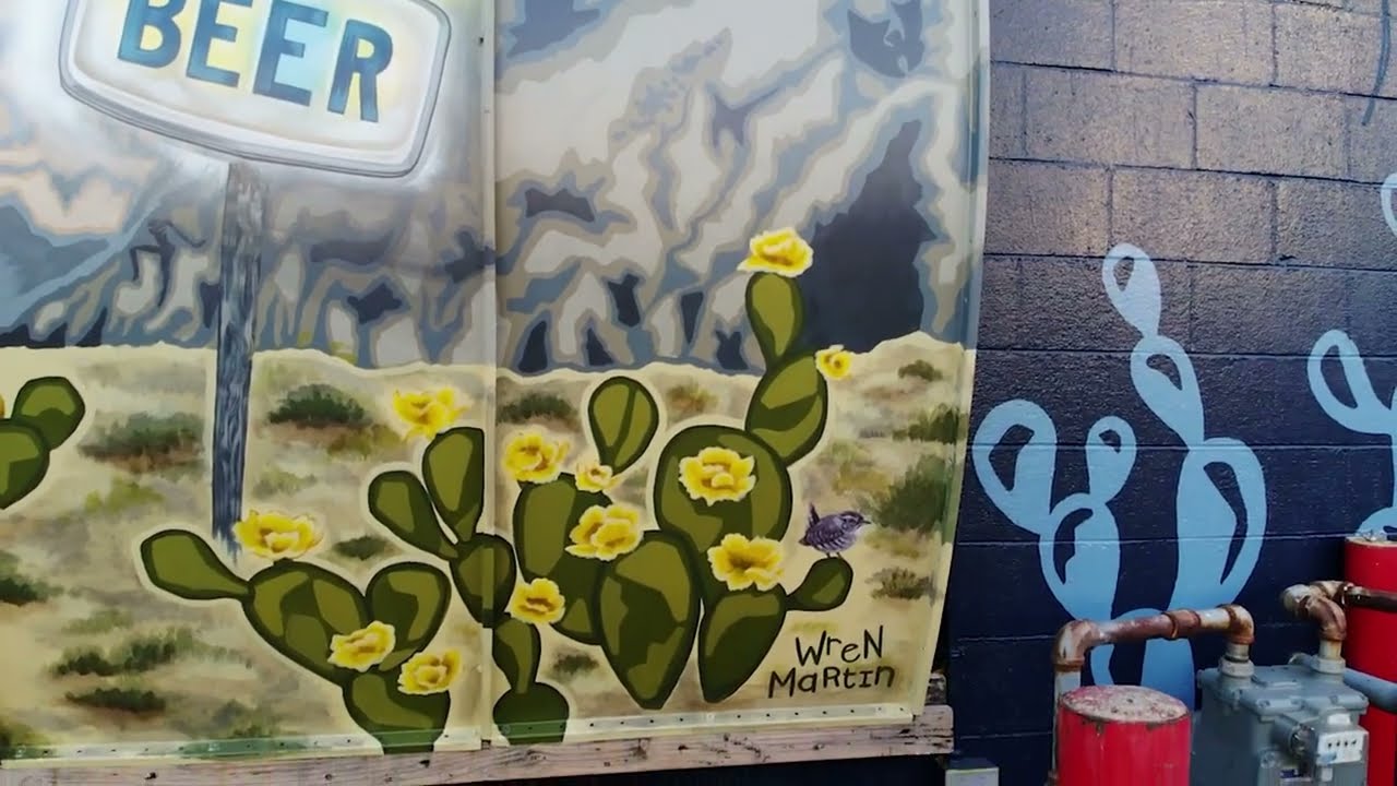 Drone Footage Denton, TX_Mural Art