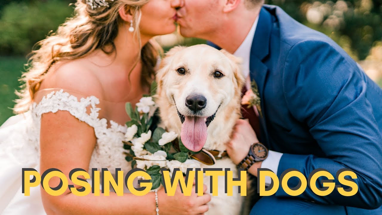 Tips For Posing Dogs at Weddings + Engagements