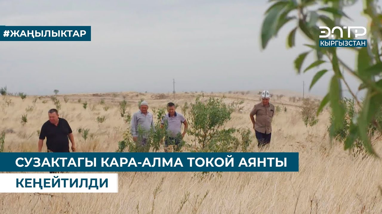 СУЗАКТАГЫ КАРА-АЛМА ТОКОЙ АЯНТЫ КЕҢЕЙТИЛДИ